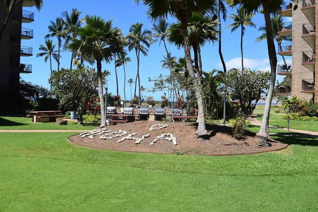 Appartamento Kihei, Modern Oceanfront, Ac, Wi-fi *