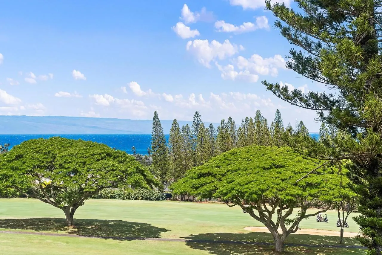 Kapalua Golf 17t8 Casa de Férias