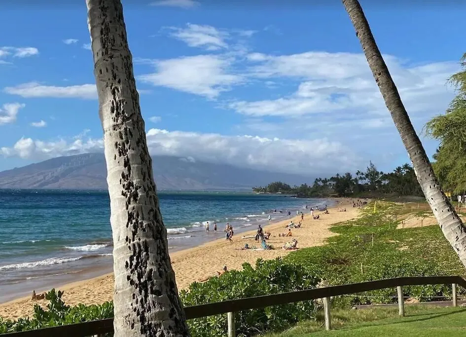 Apartment Alii Kai D207- Ocean View, Walk To Shops, Dining, And Kam I