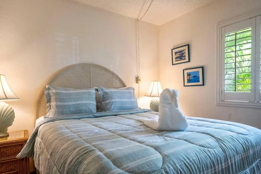 Apartment Alii Kai D207- Ocean View, Walk To Shops, Dining, And Kam I *