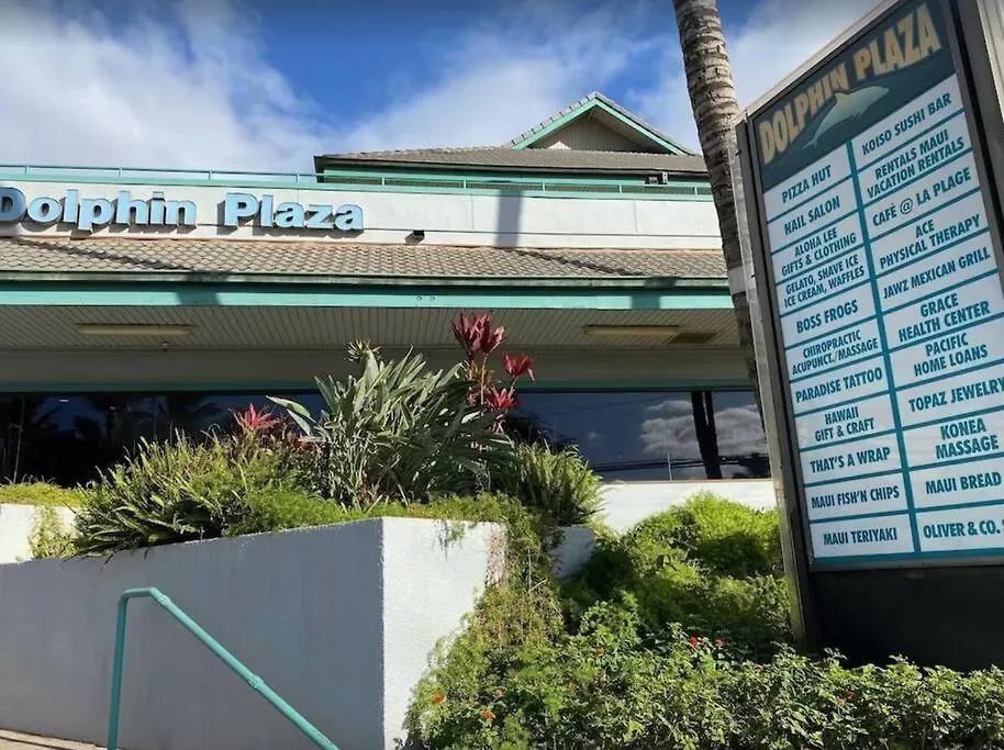 Alii Kai D207- Ocean View, Walk To Shops, Dining, And Kam I * Kihei