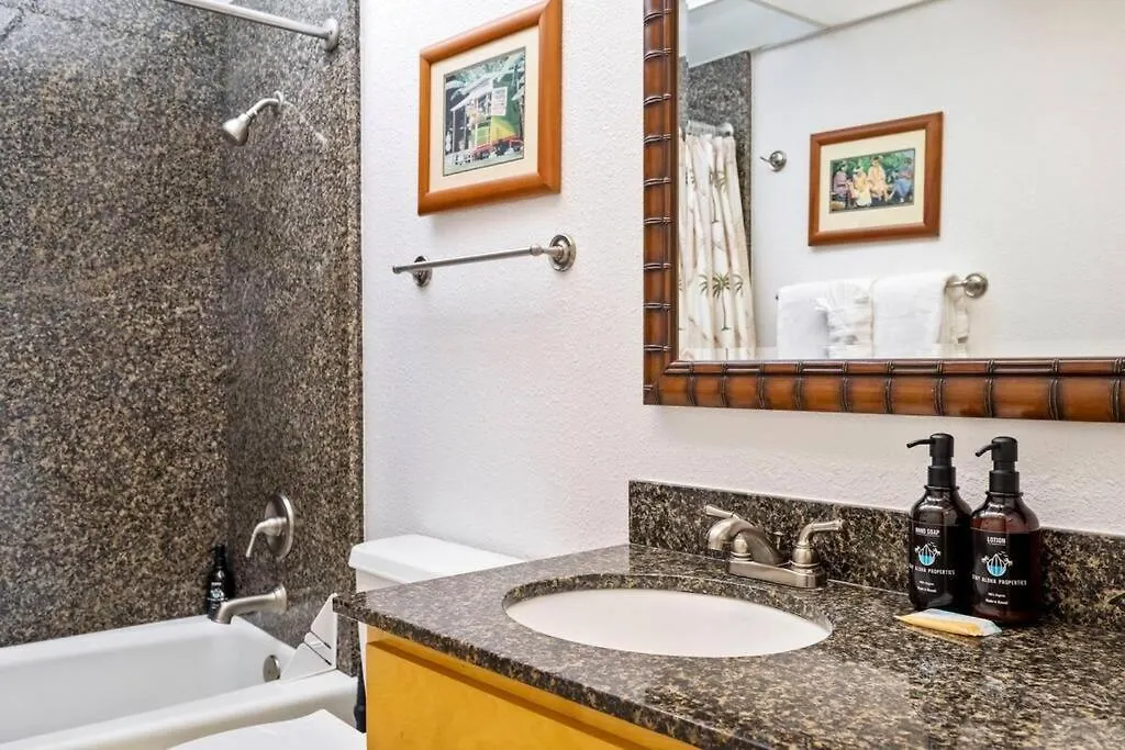 Kaanapali Shores 423- Ocean View 2 Bed, 2bath Kaanapali Shores Gem Kahana