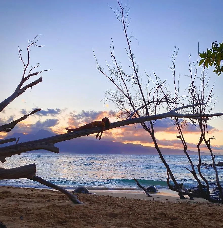Embark On A Journey Through Maui With Aloha Glamp's Jeep And Rooftop Tent Allows To Discover Diverse Campgrounds, Unveiling The Island's Beauty From Unique Perspectives Each Day Haiku