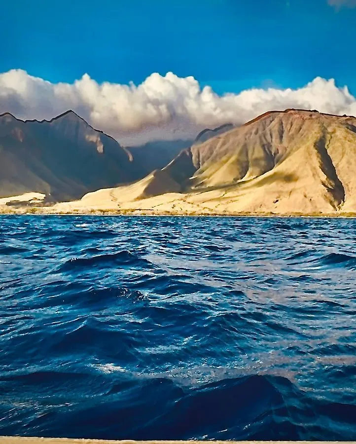 Luxuszelt Embark On A Journey Through Maui With Aloha Glamp's Jeep And Rooftop Tent Allows To Discover Diverse Campgrounds, Unveiling The Island's Beauty From Unique Perspectives Each Day *