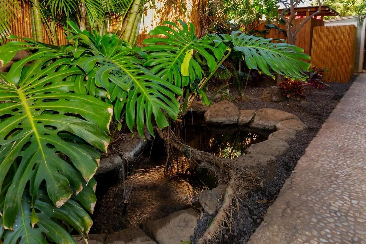 Studio Condo In Boutique Property With Mini Kitchen, Pool And Bbq Kihei
