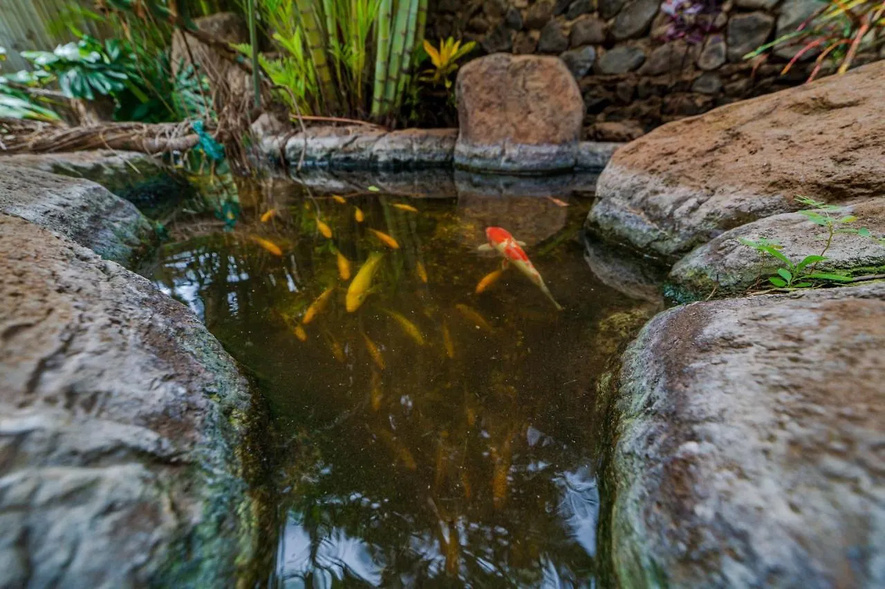 Studio Condo In Boutique Property With Mini Kitchen, Pool And Bbq Apartment Kihei
