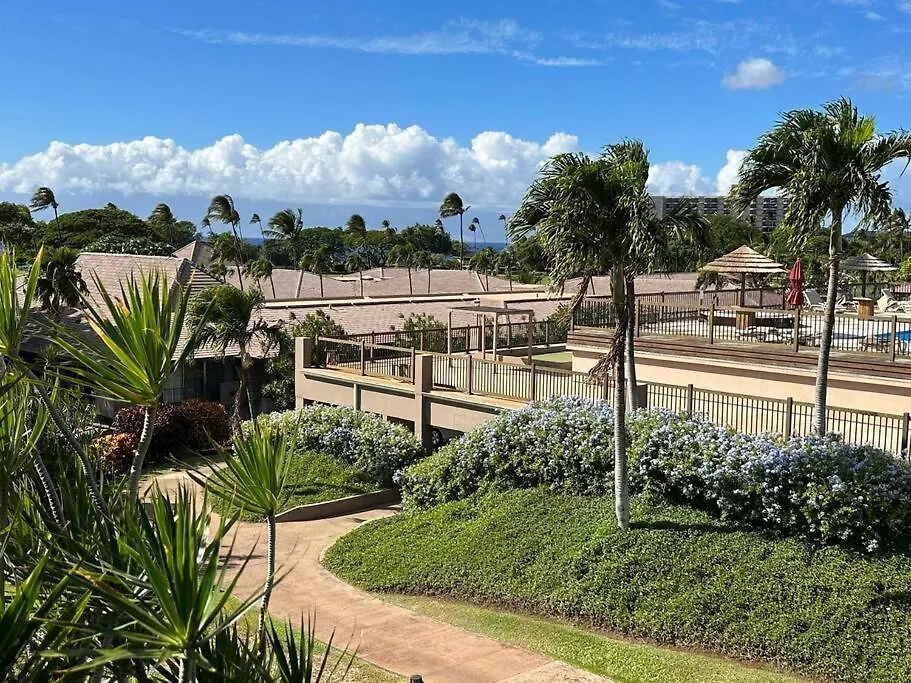 Apartament Maui El Dorado Kaanapali Studio- G204