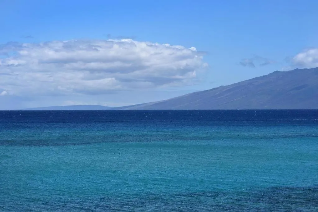 Largest One Bedroom At Kuleana - Oceanfront Unit!! 105 卡哈纳