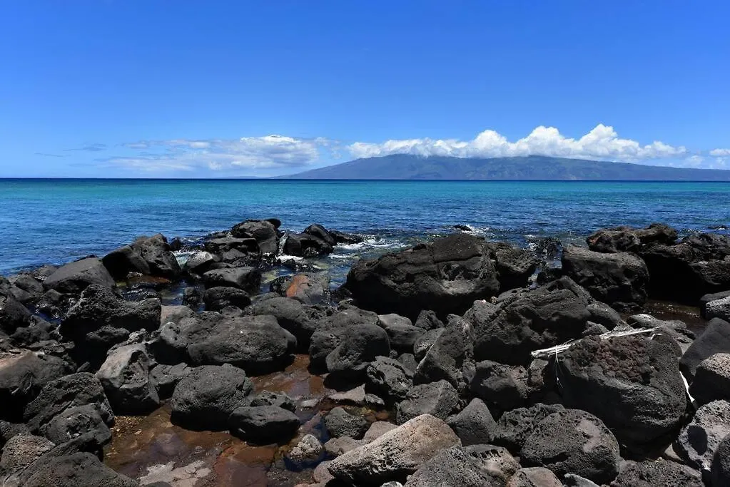 Largest One Bedroom At Kuleana - Oceanfront Unit!! 105 卡哈纳