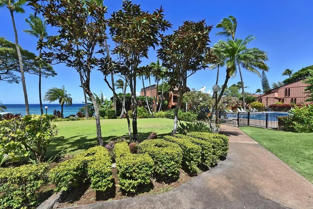 Largest One Bedroom At Kuleana - Oceanfront Unit!! 105 公寓 *