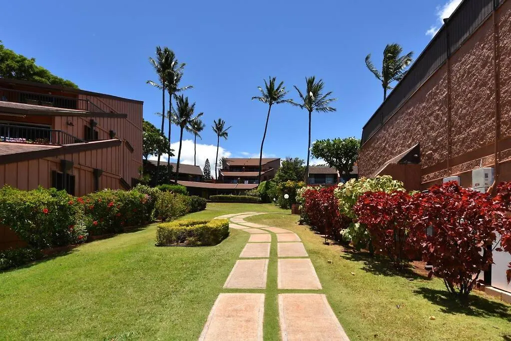 Largest One Bedroom At Kuleana - Oceanfront Unit!! 105 公寓