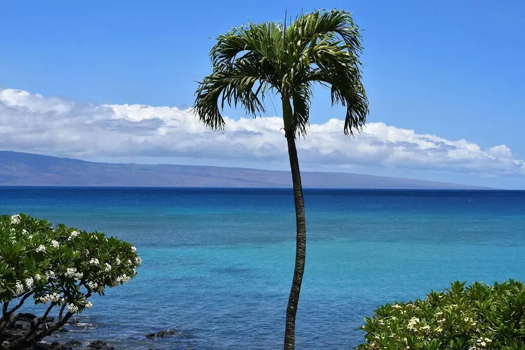 公寓 Largest One Bedroom At Kuleana - Oceanfront Unit!! 105 *