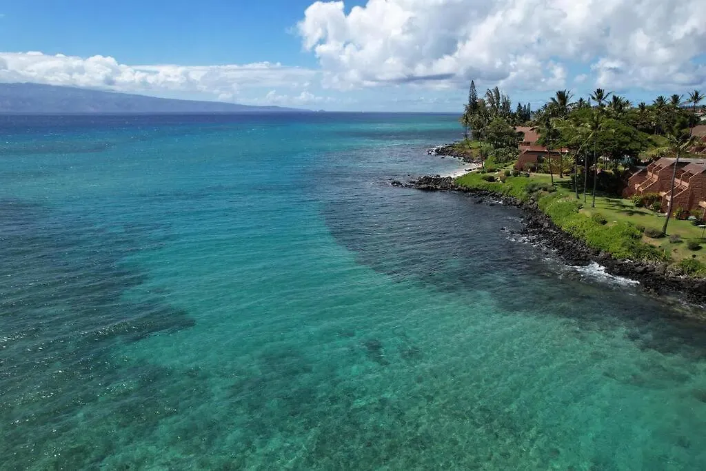 Largest One Bedroom At Kuleana - Oceanfront Unit!! 105 公寓