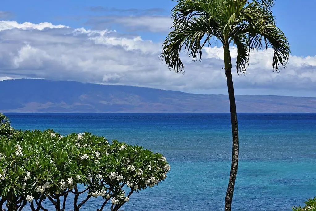 Largest One Bedroom At Kuleana - Oceanfront Unit!! 105 公寓 卡哈纳