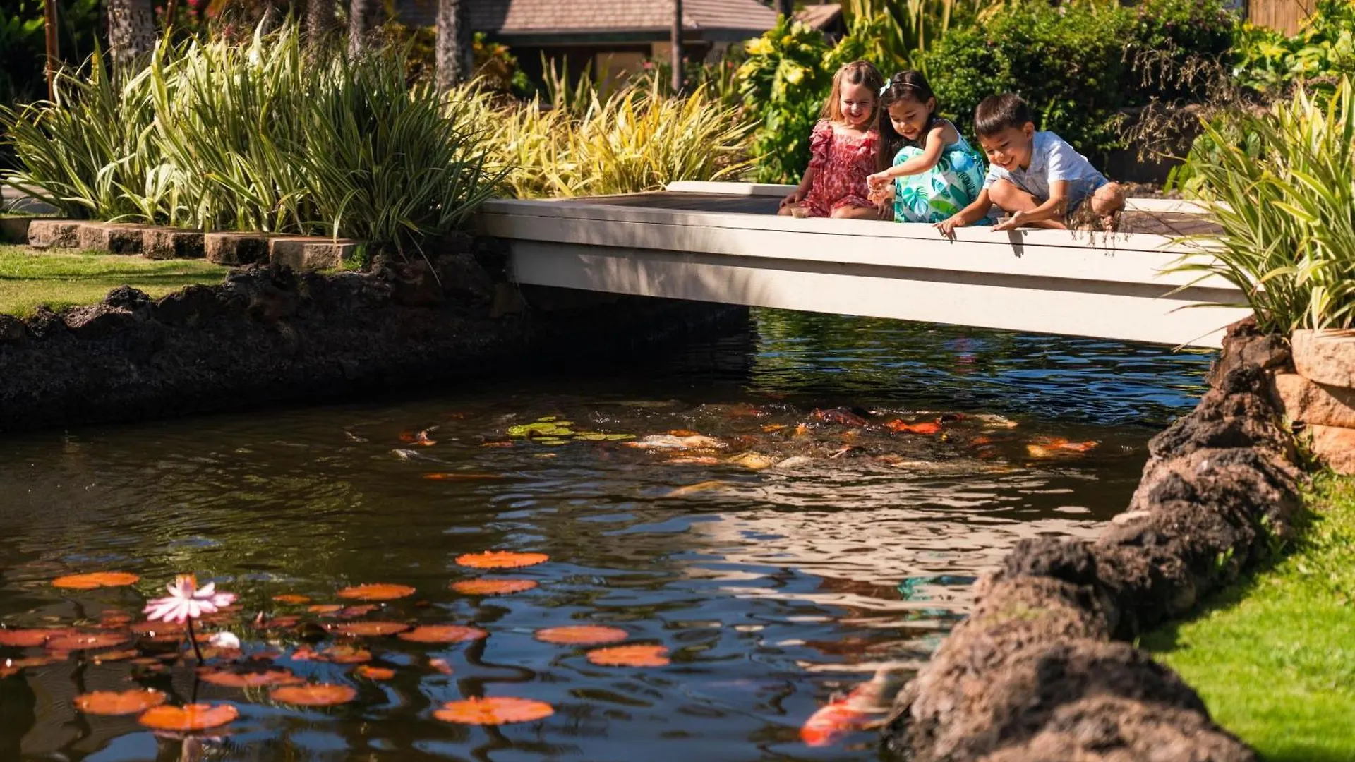 Sheraton Maui &