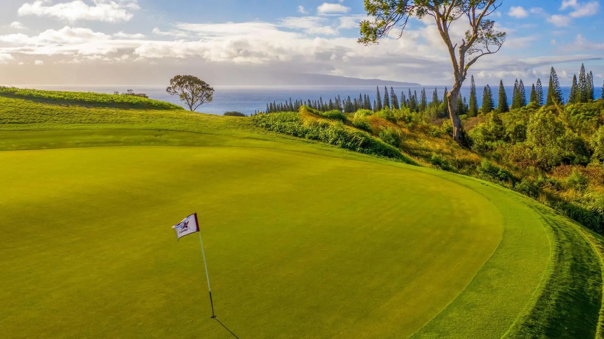 Semesteranläggning (resort) The Ritz-carlton Maui, Kapalua 5*