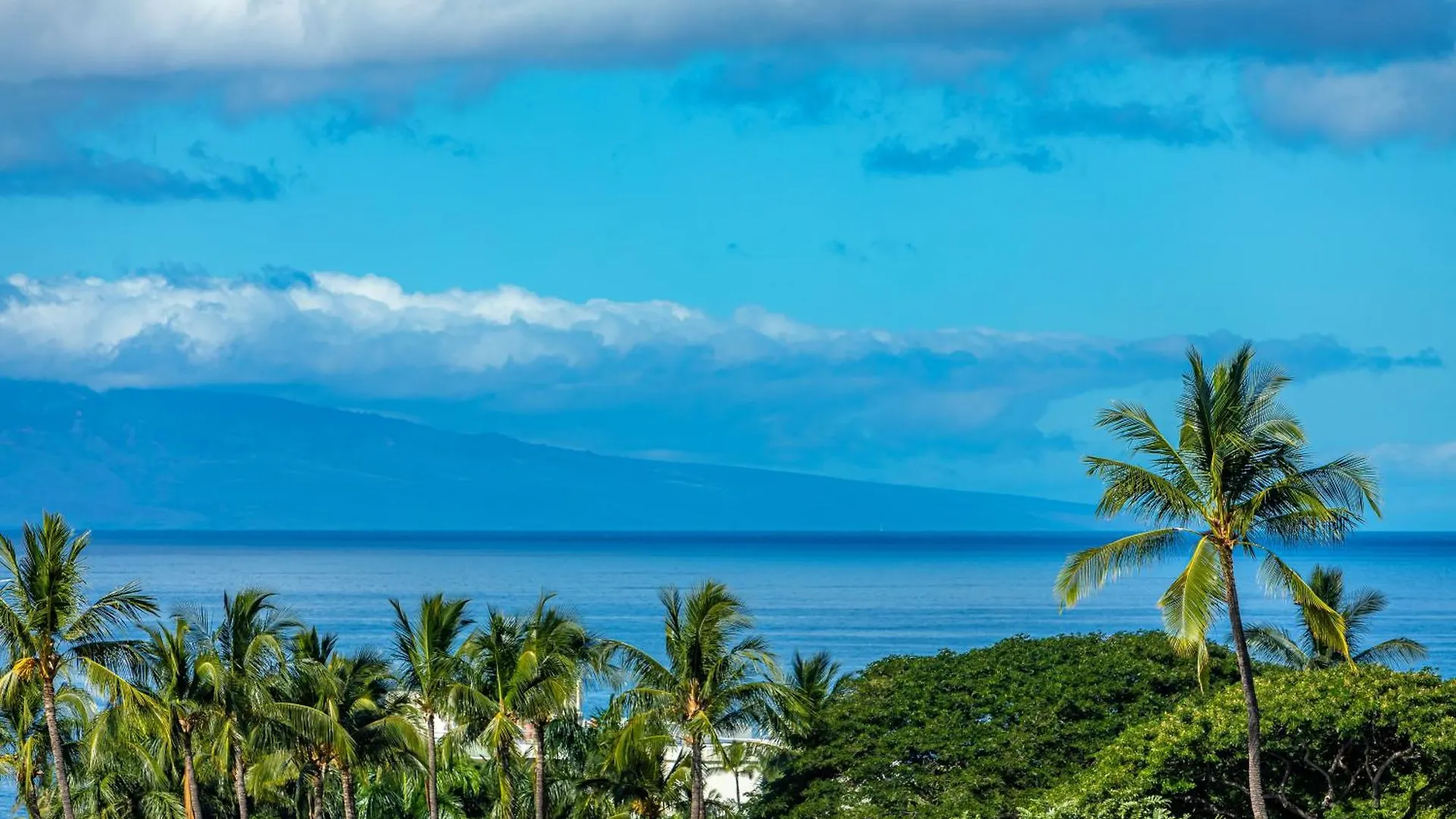 Upscale Wailea! 2-2 With Ocean View Semesterbostad