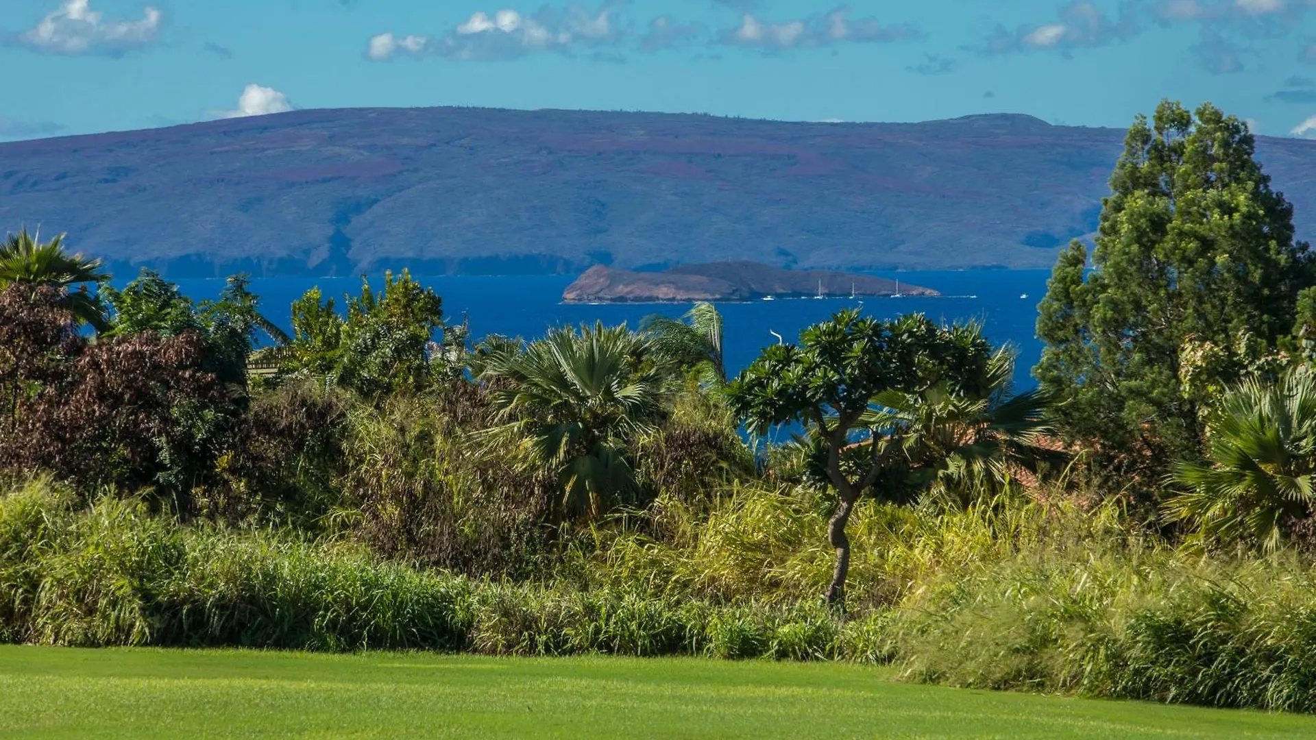 Upscale Wailea! 2-2 With Ocean View * Wailea (Maui)