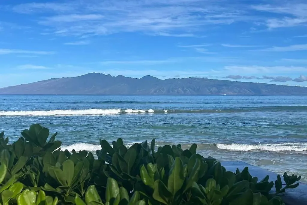 Entire In Lahaina, Maui شقة *