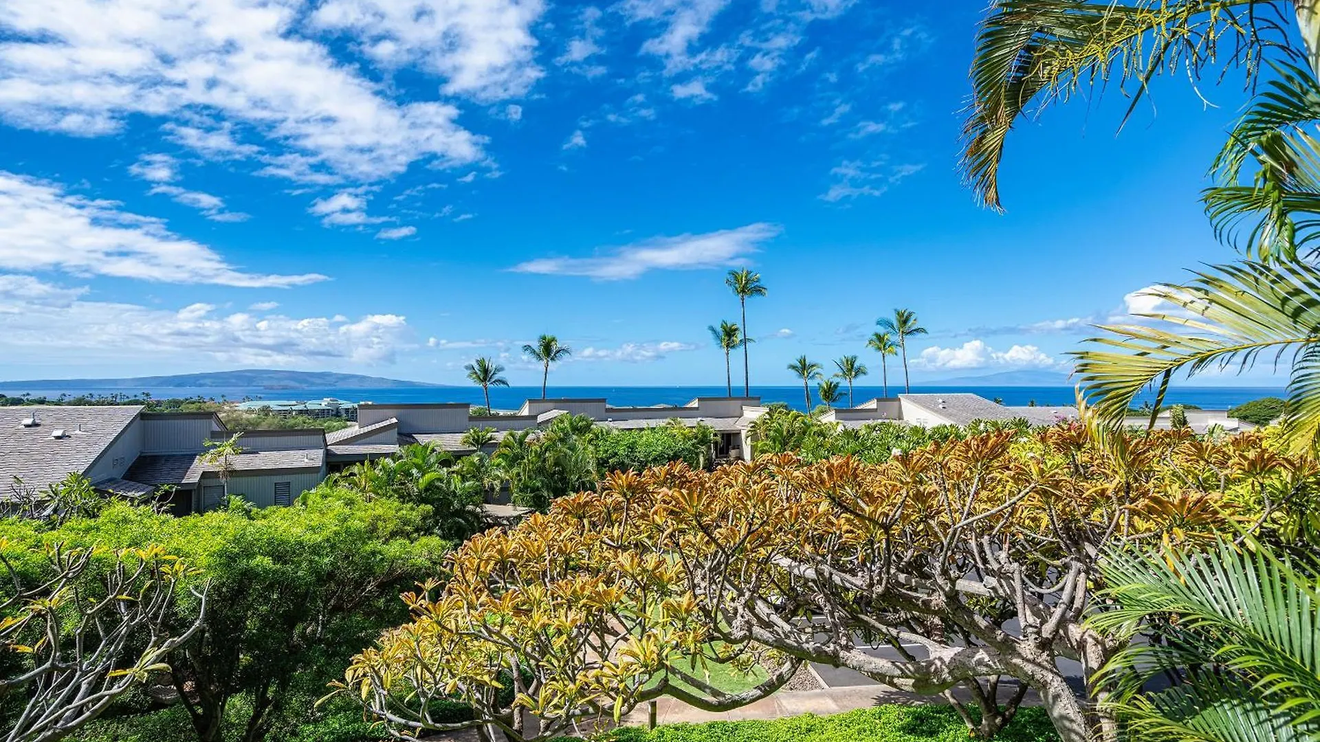 Wailea Ekolu 407 - Renovated, Split Ac, Ocean View Holiday home