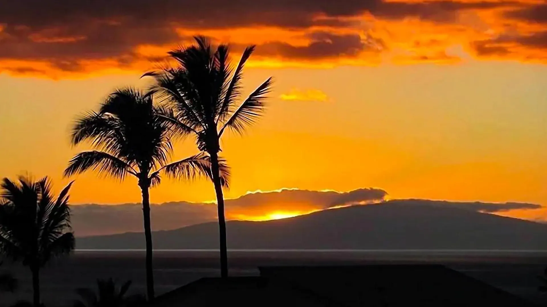 Wailea Ekolu 407 - Renovated, Split Ac, Ocean View * Wailea (Maui)
