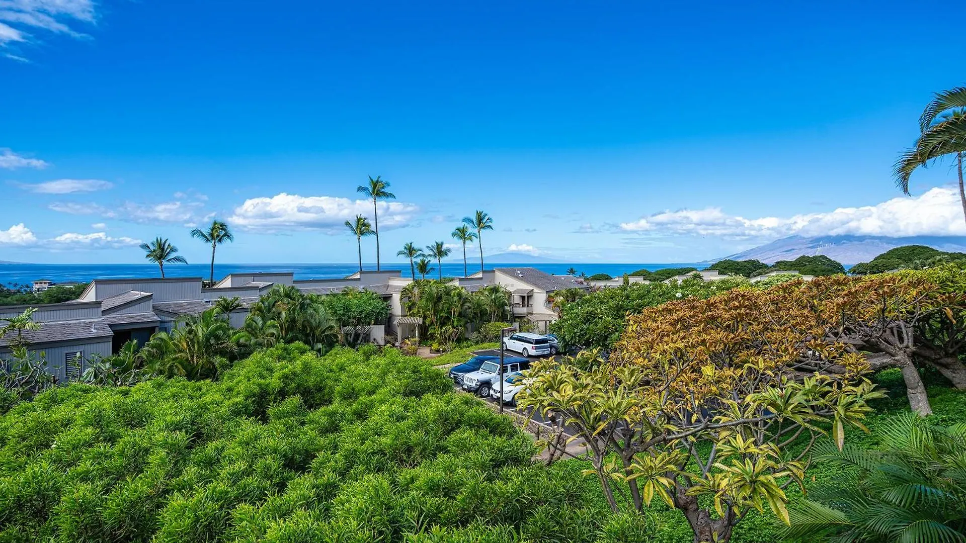 Wailea Ekolu 407 - Renovated, Split Ac, Ocean View Holiday home