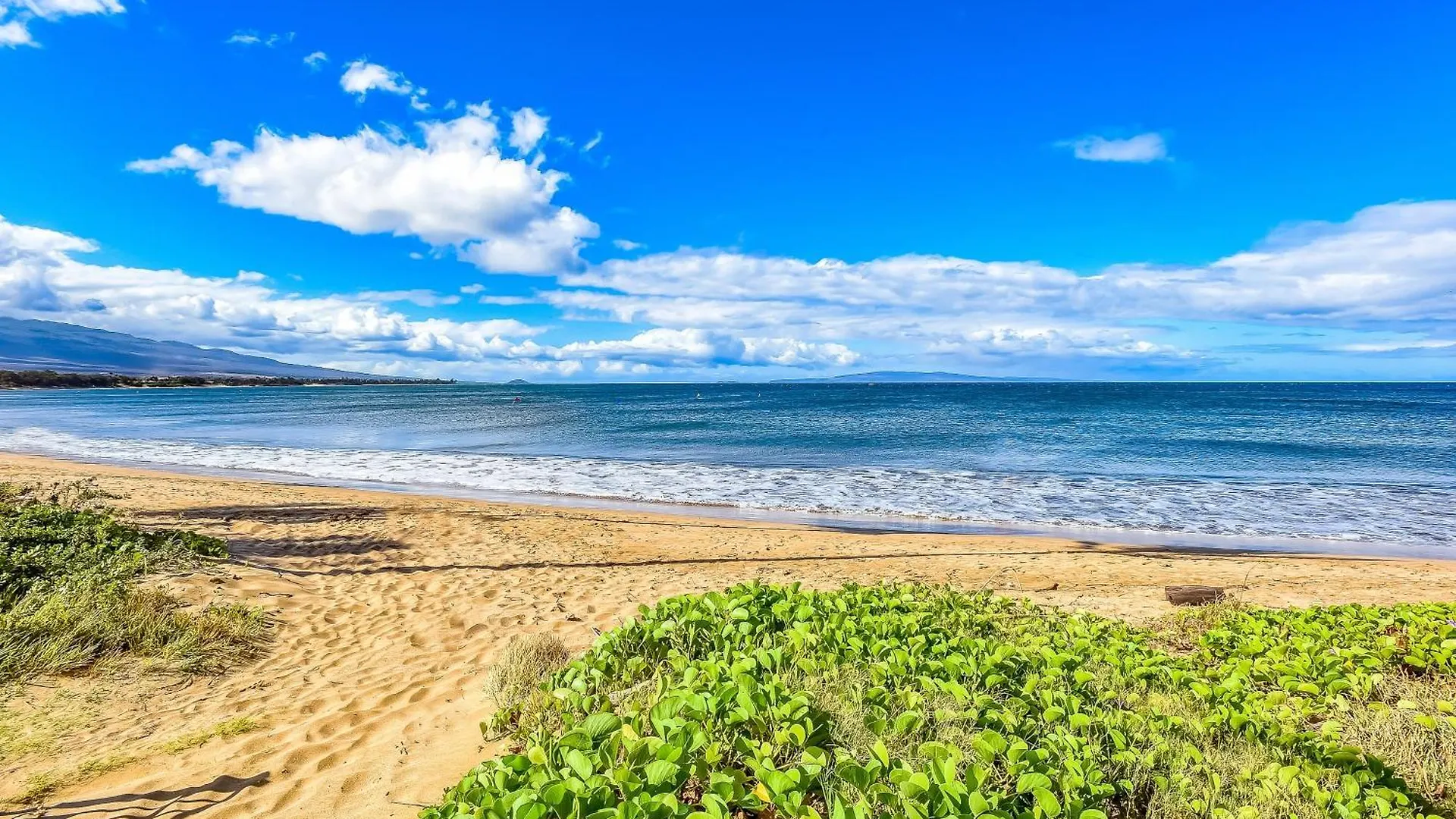 Apartman Sugar Kihei