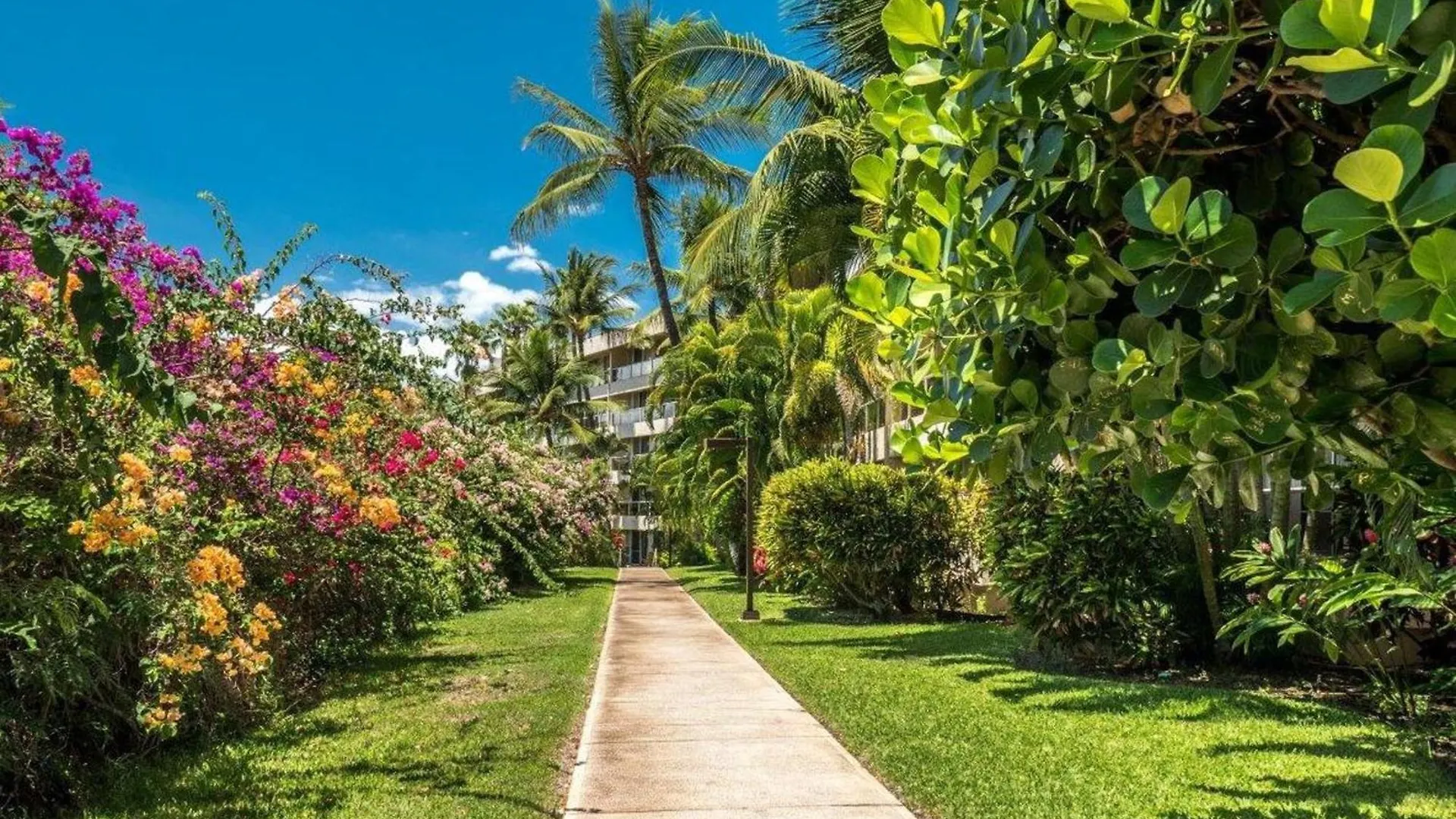 Lägenhet Maui Banyan H404