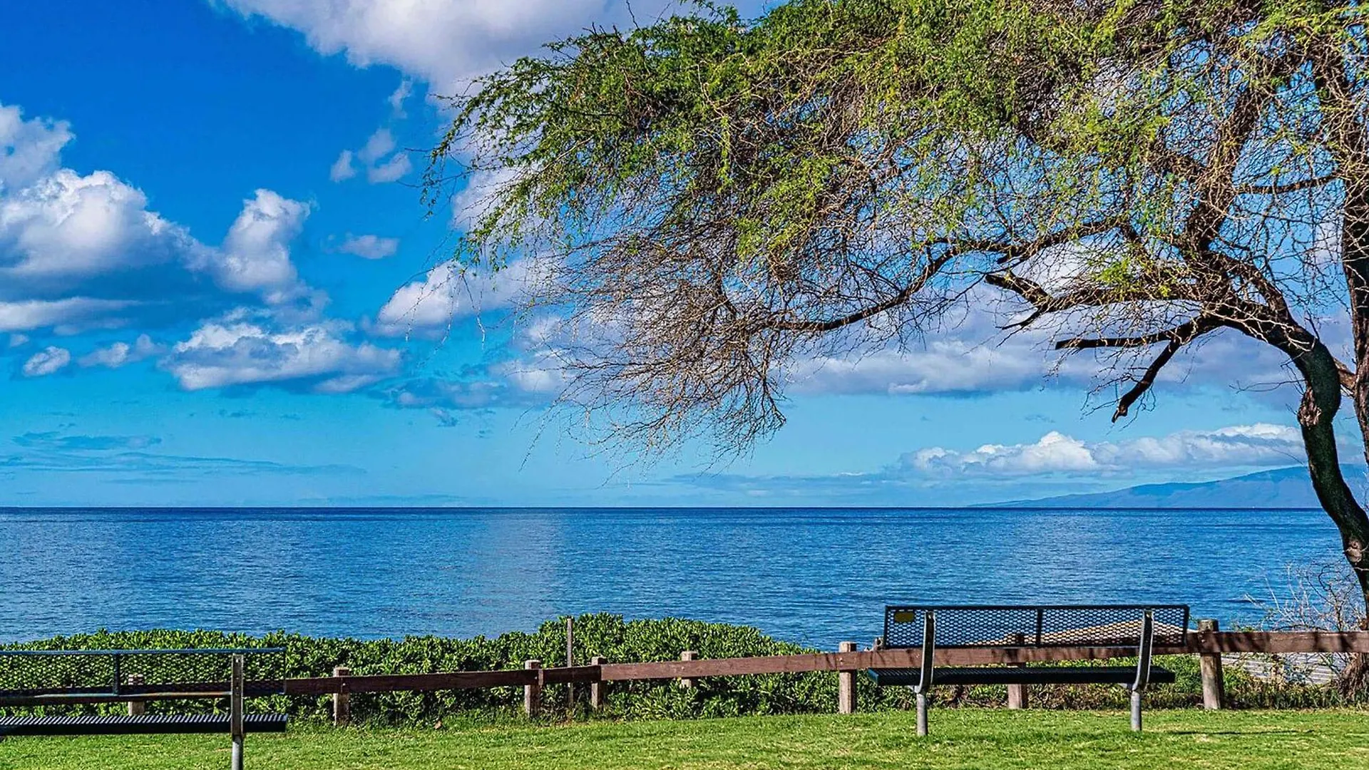 Prázdninový dům Hale Kamaole 150, Beautiful Renovation, Split Ac Wailea (Maui)