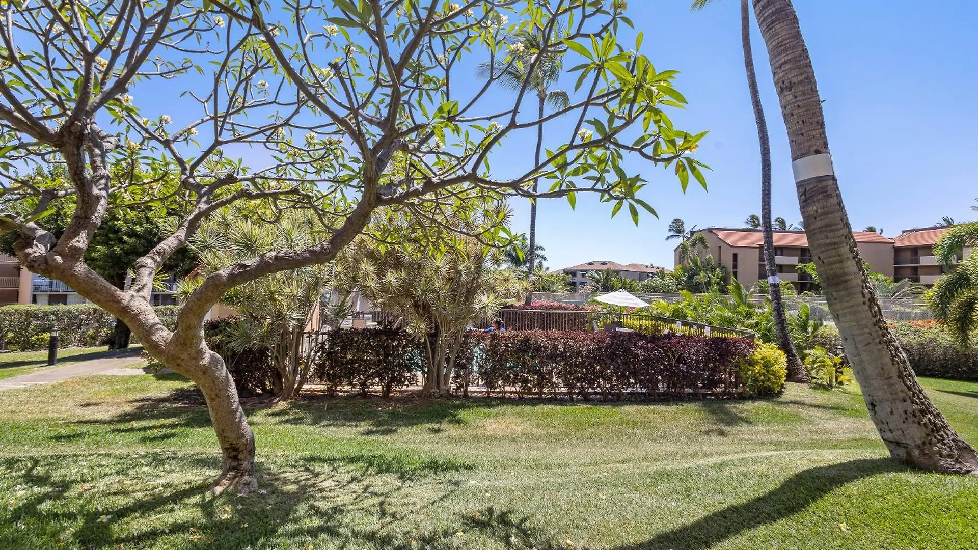 Holiday home Maui Vista 3111 - Mch
