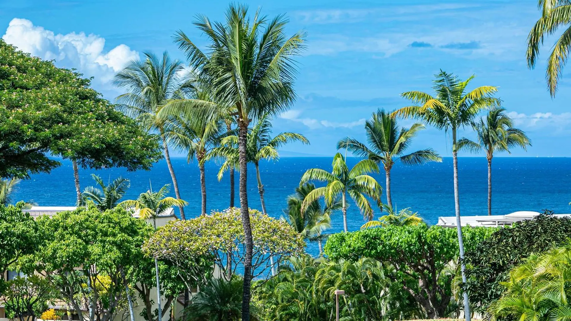 Maui Kamaole C209 - Mch * Kihei
