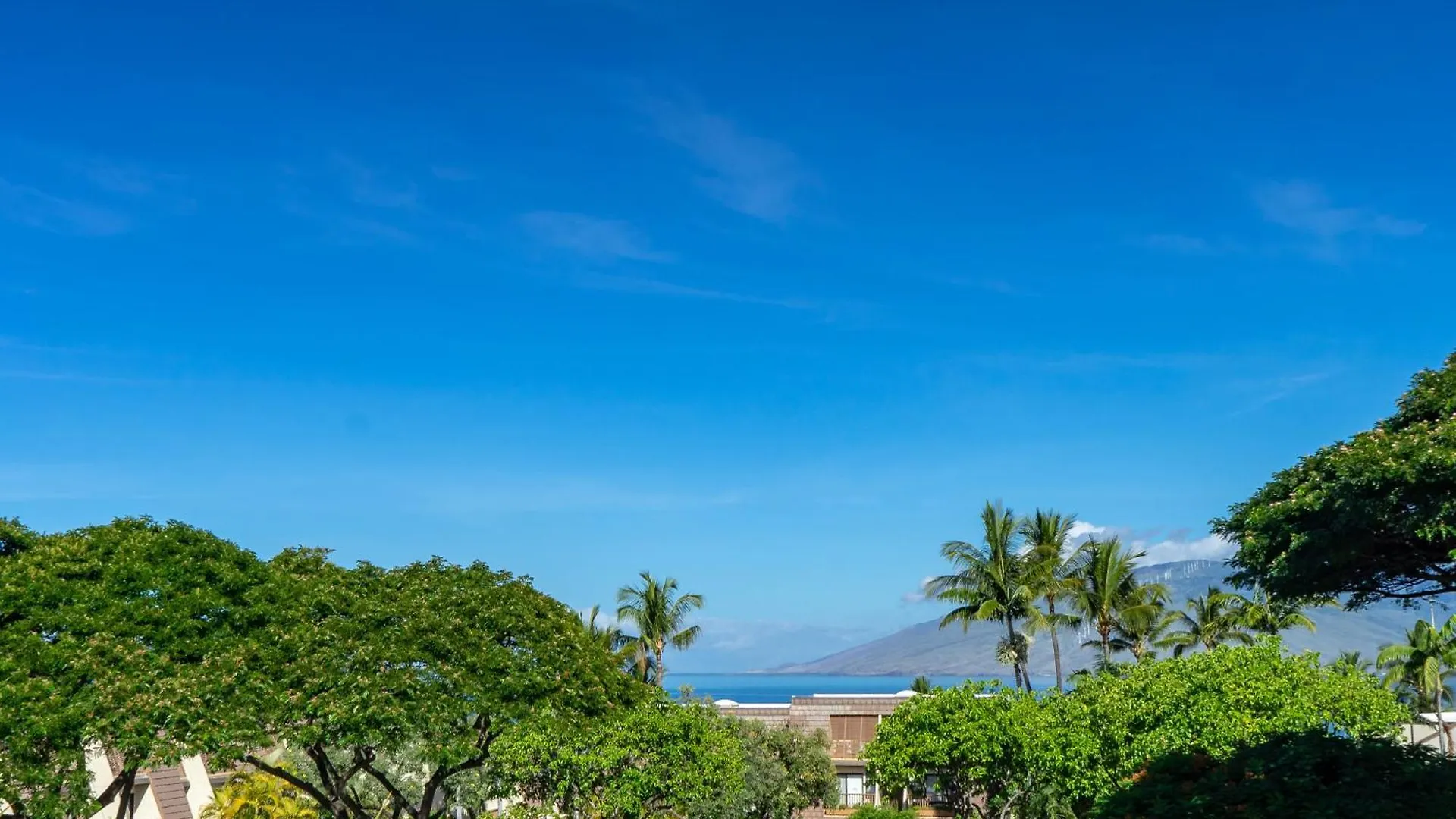 Maui Kamaole B214 - Mch Holiday home Kihei