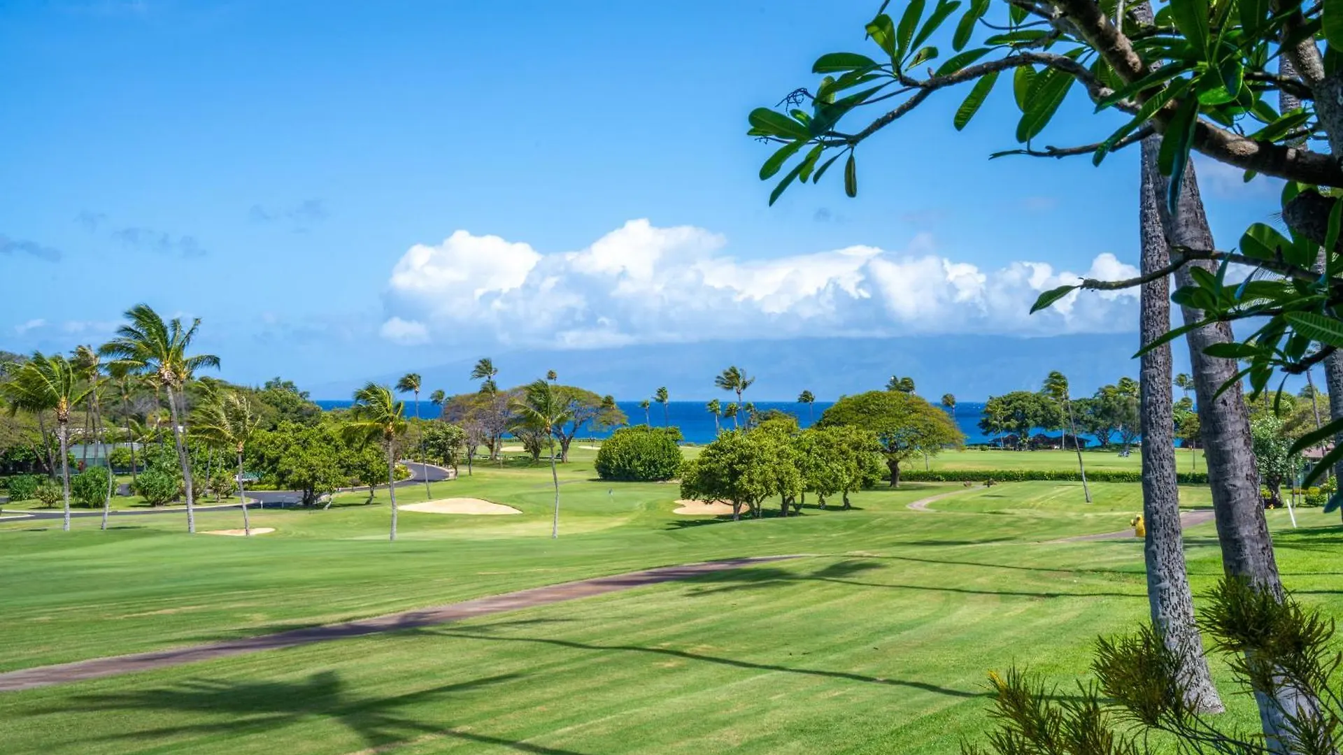 Kaanapali Maui At The Eldorado By Outrigger - Select Your Unit Apartament
