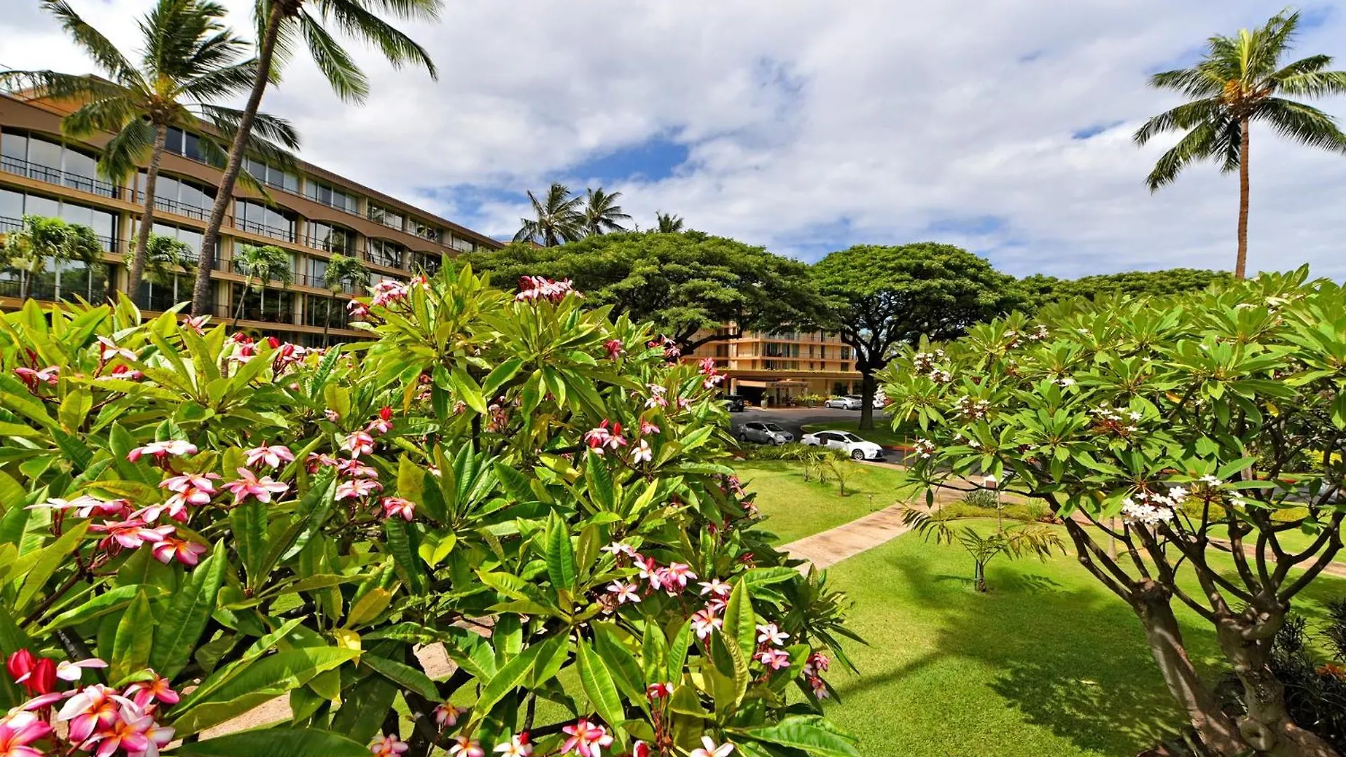 Apartment Maui Kaanapali #b233 *