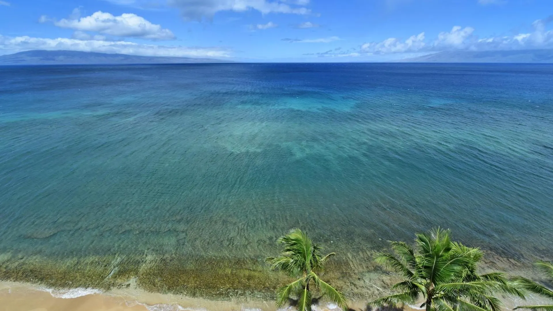Mahana 1217