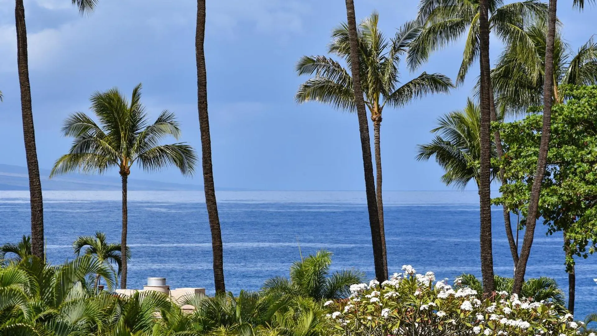 Apartamento Maui Kaanapali #a317