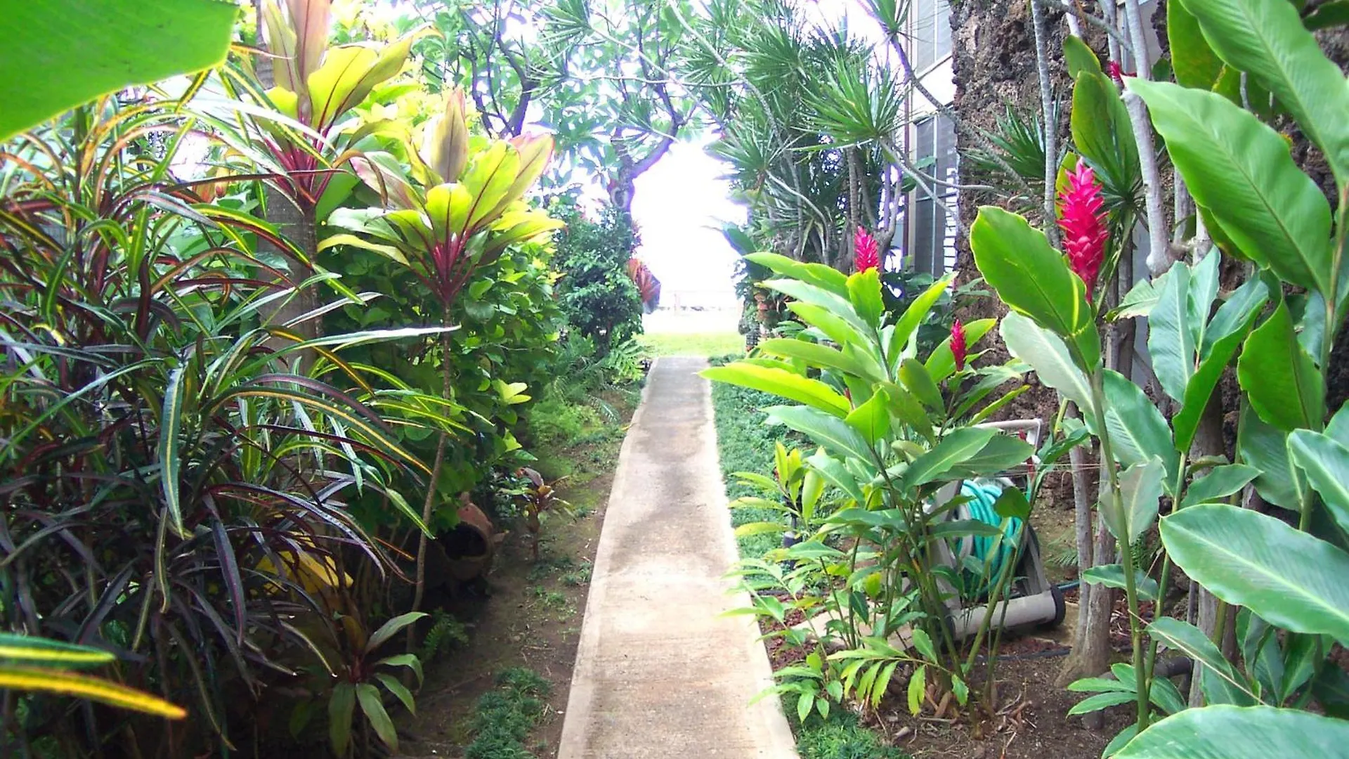 Appartement Pikake Unit A6 Lahaina