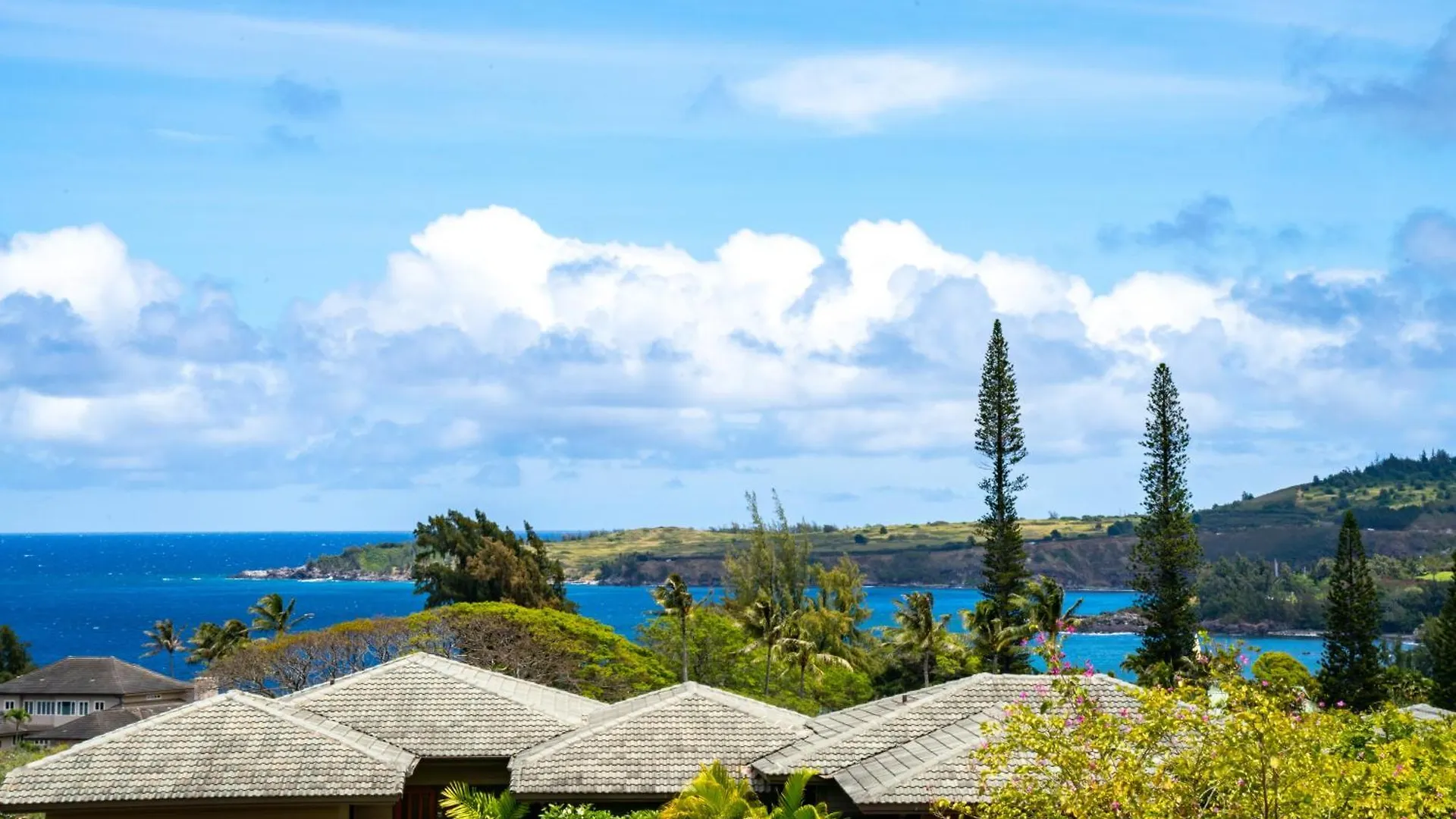 Kapalua Maui - Select Your Unit Appartamento