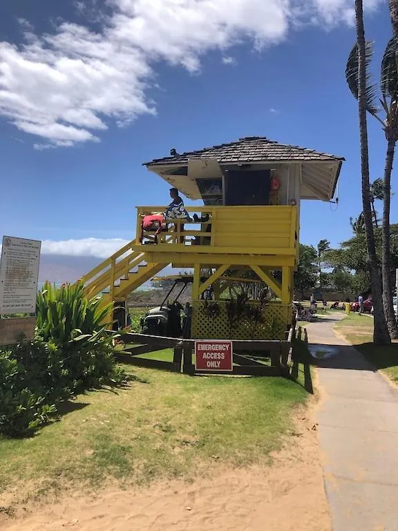 Kai Nani 200 Steps To Kam Ii Apartment Kihei