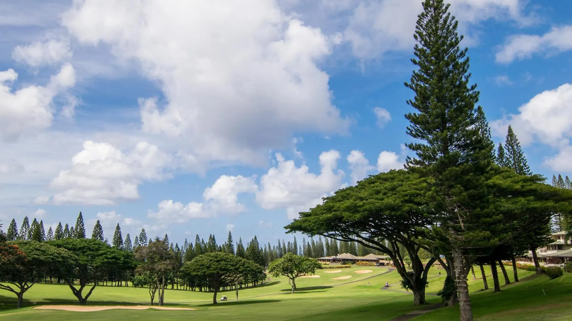 Lägenhet Kapalua Maui