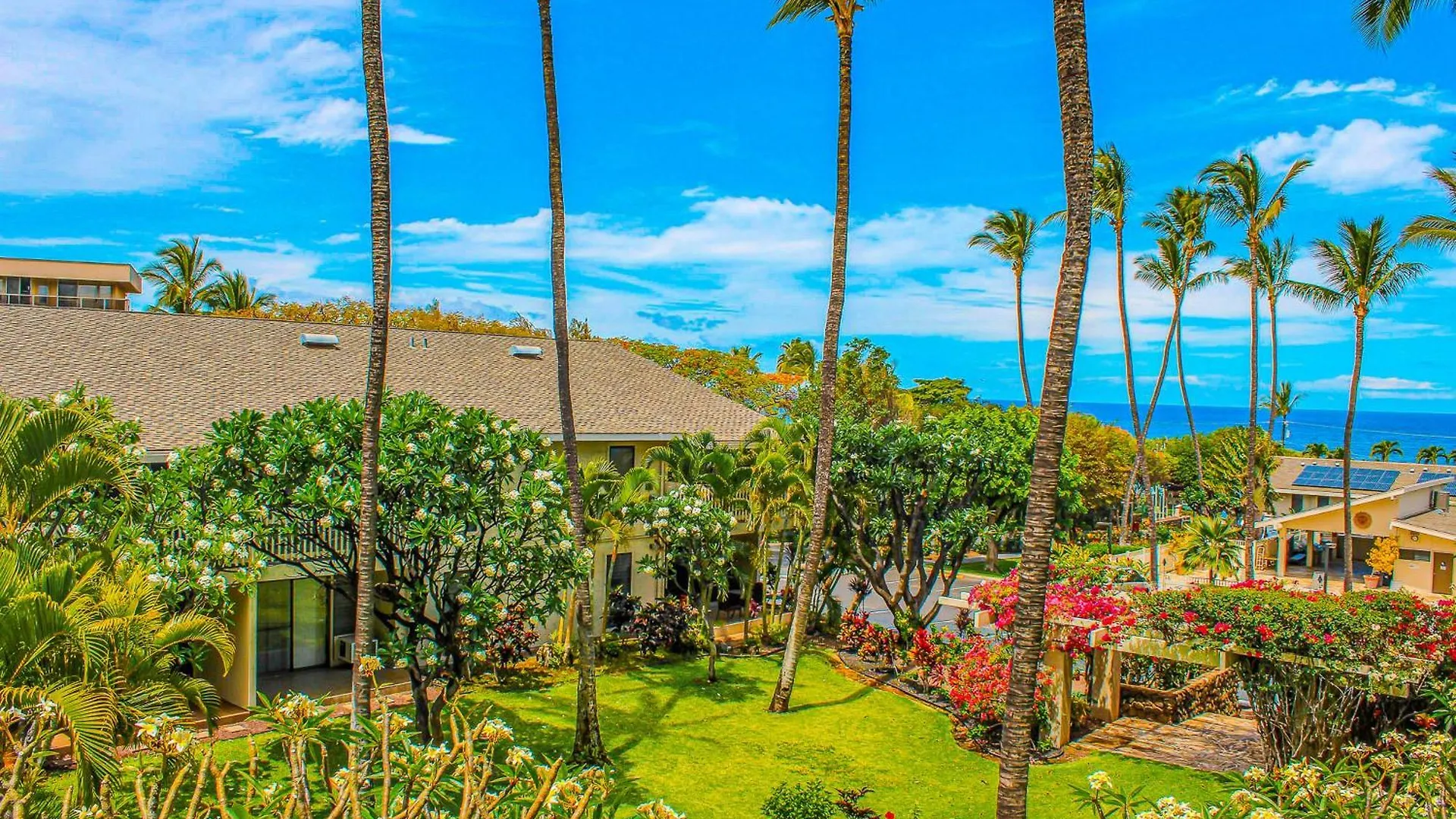 Kihei Akahi 3*