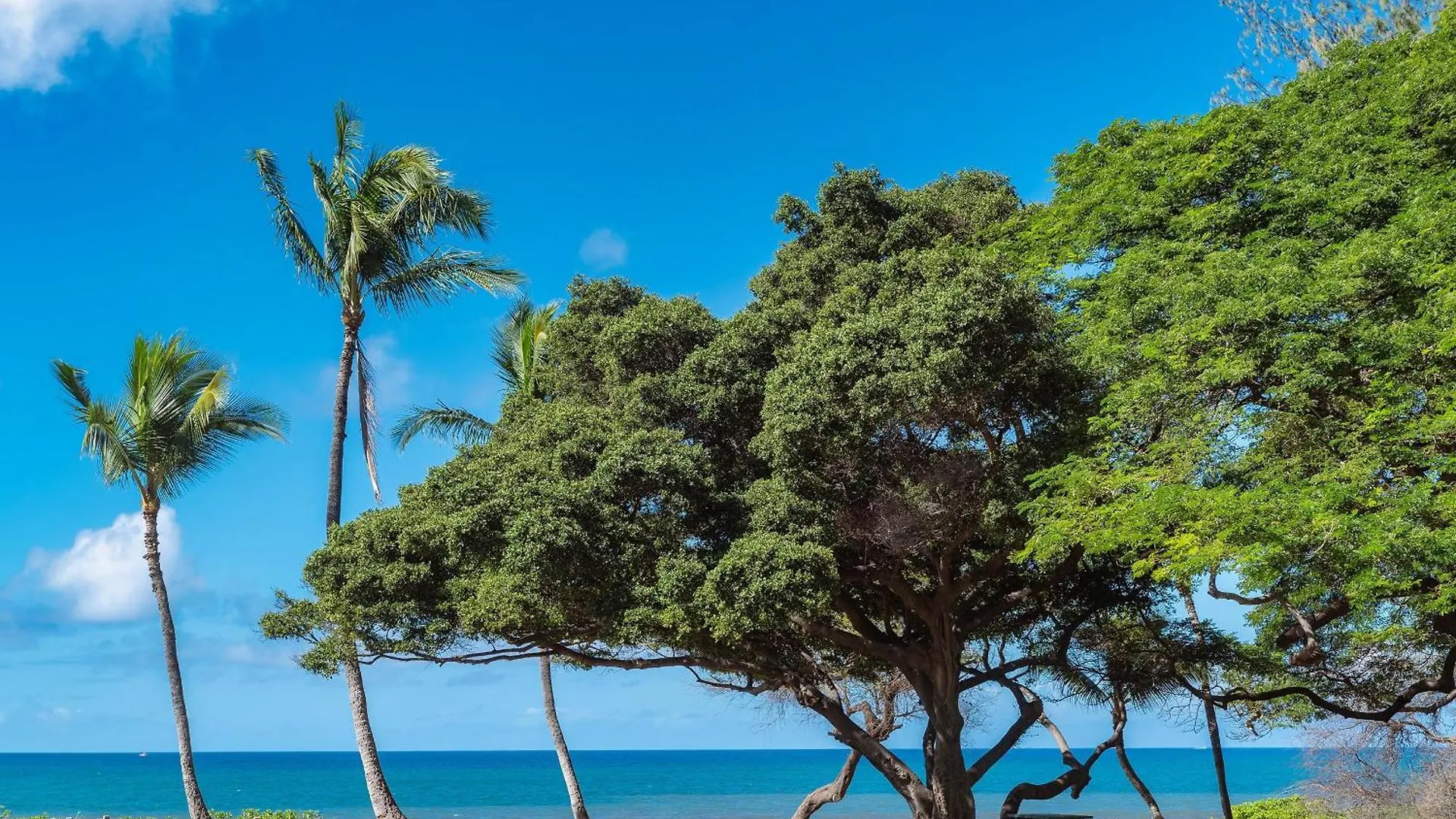 Haleakala Shores A-301, Panoramic Views, Split Ac Holiday home Wailea (Maui)