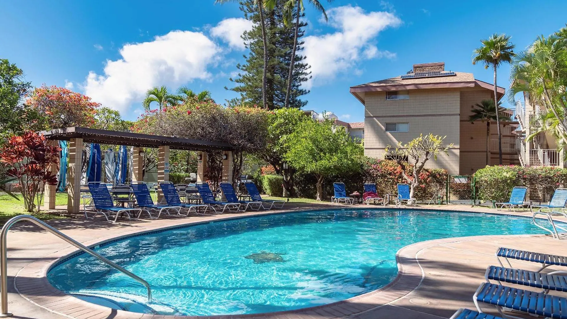 Haleakala Shores A-301, Panoramic Views, Split Ac