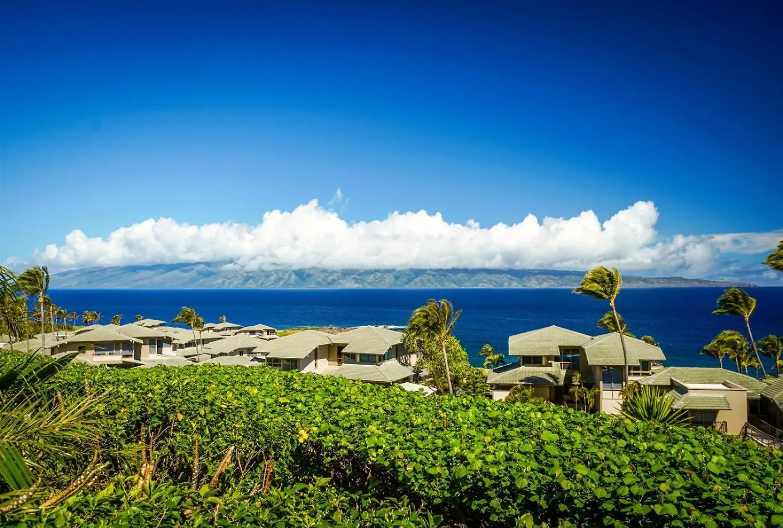 2915 Kapalua Ridge *