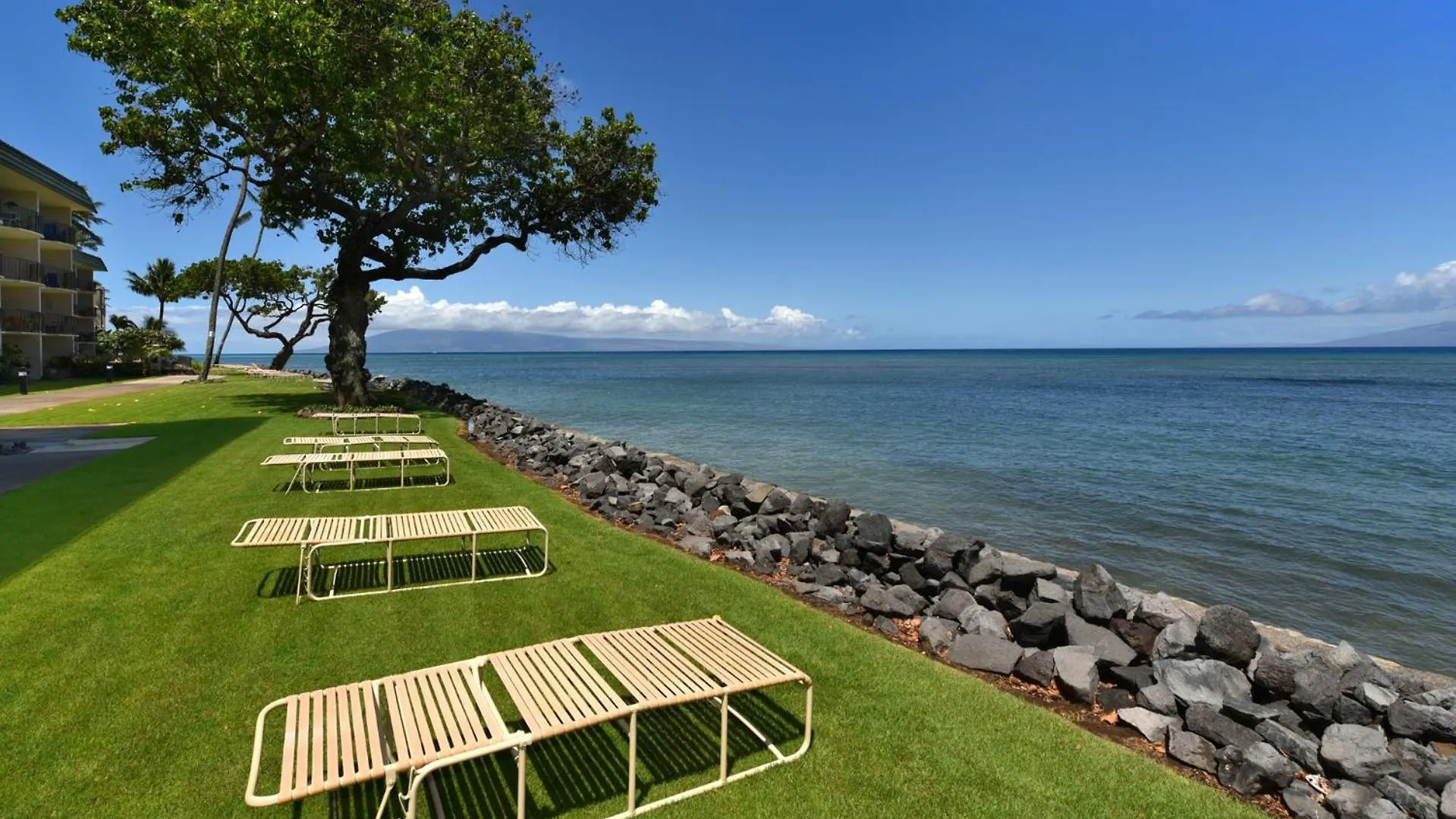 Reef #216 Kahana