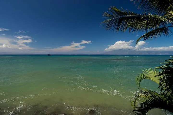 Pohailani #201 Kahana