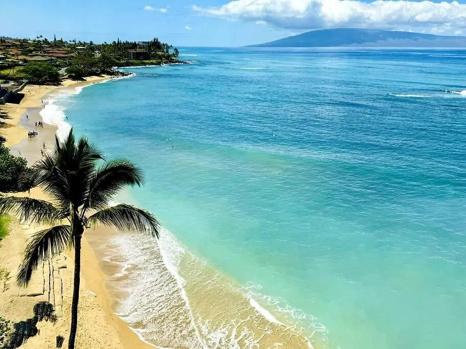 Appartement Ac Beachfront With Sandy Beach, Snorkel, Whale Watching *
