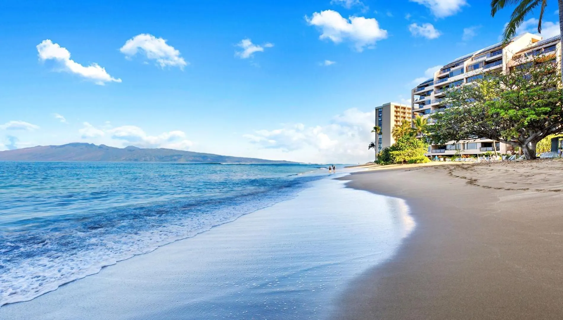 Oceanfront Corner Unit W/ Ac! Sk215- Sullivan Kahana