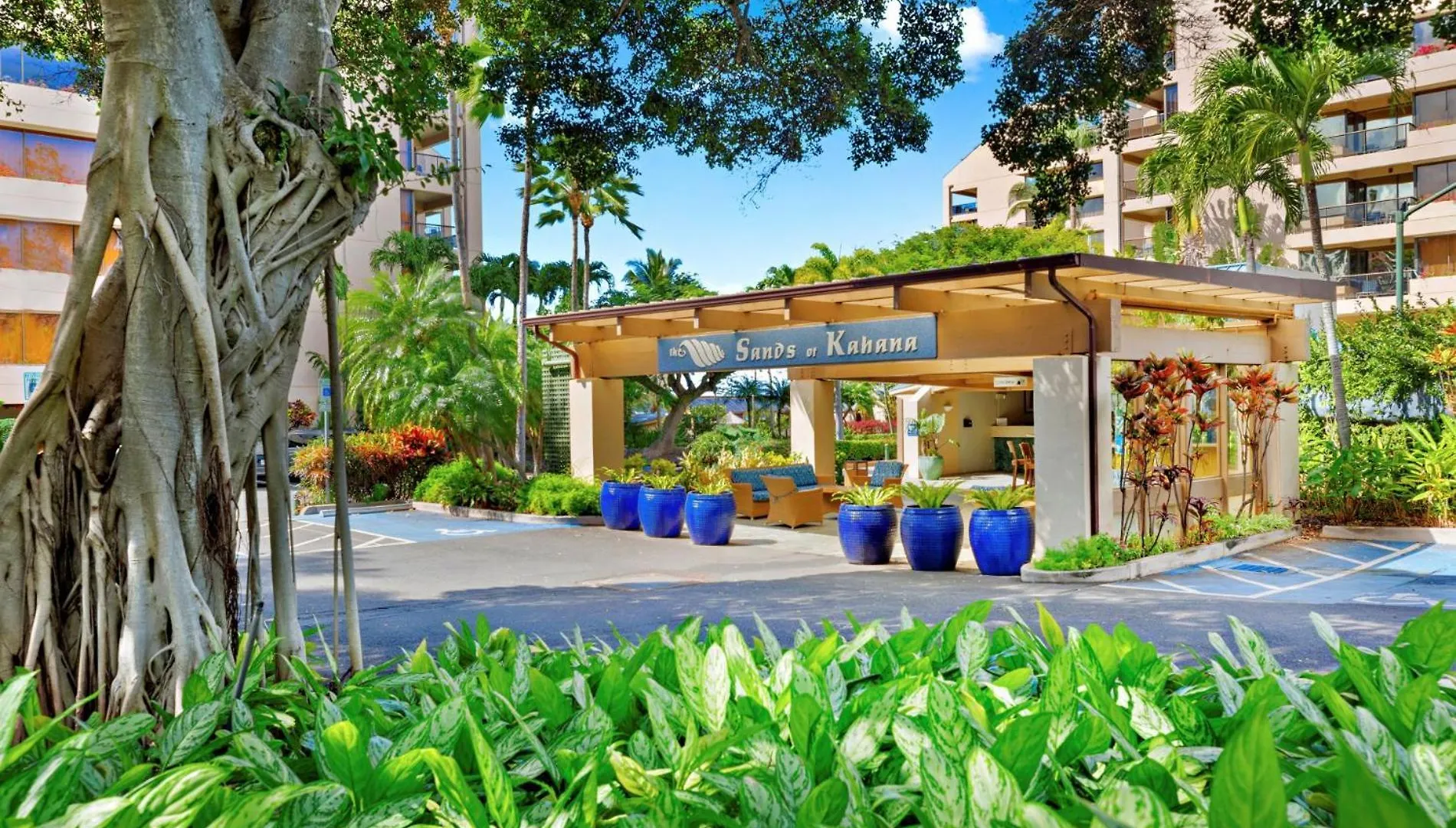 Oceanfront Corner Unit W/ Ac! Sk215- Sullivan Holiday home *