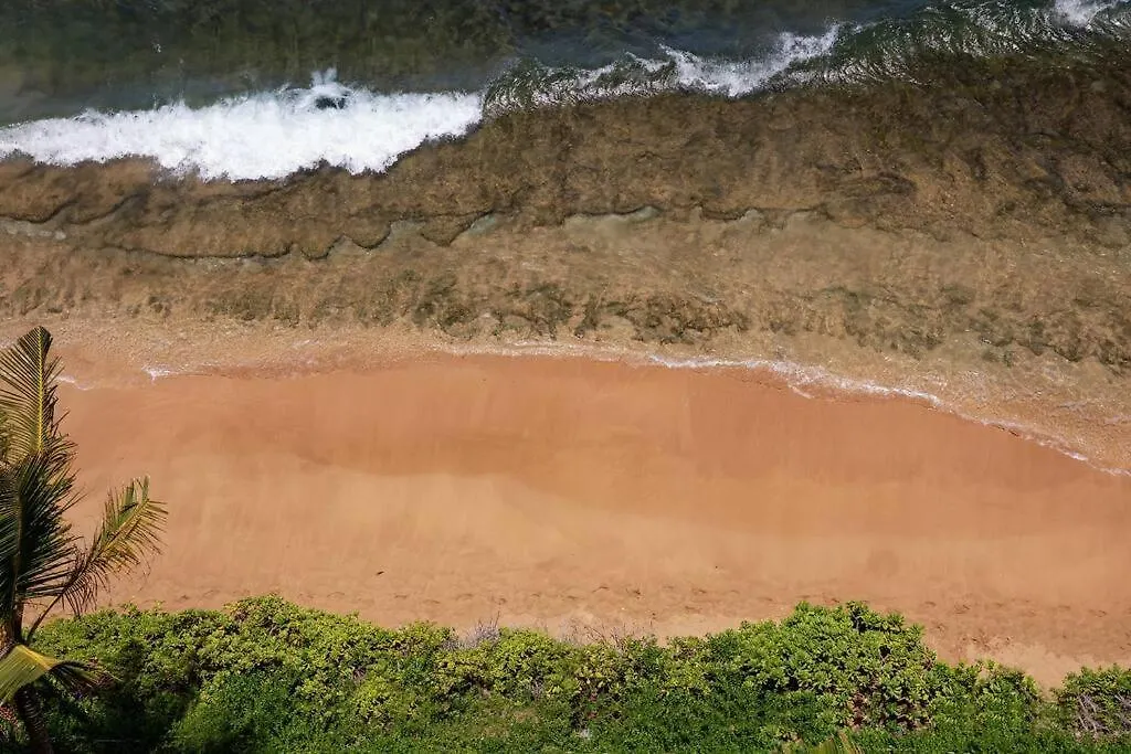 Ocean Views On Maui! Perfect For Honeymooners!! *